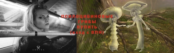 скорость Зеленокумск