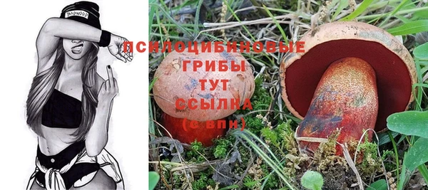 мяу мяу мука Зерноград